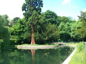 Amwell-Nature-Reserve